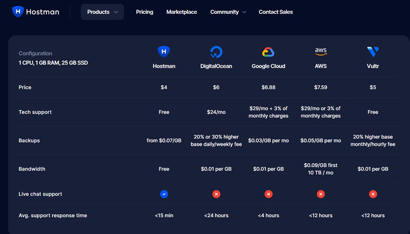 How Does Hostman Perform Compared to Peers?
